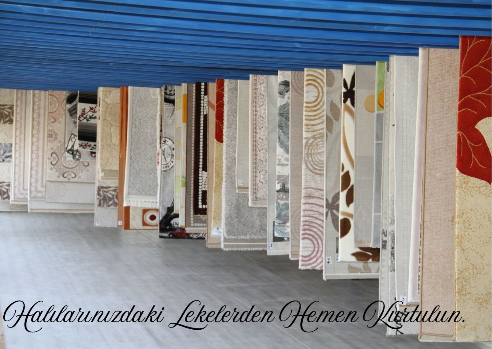 Meram Halı Yıkama Fabrikası
